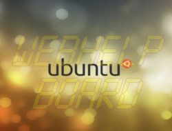 Cómo actualizar Ubuntu para tapar el fallo de OpenSSL Heartbleed