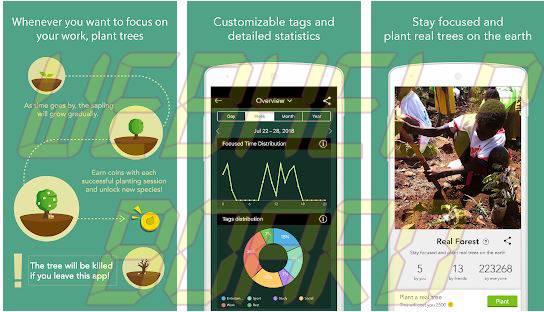 Forest Stay Focused app