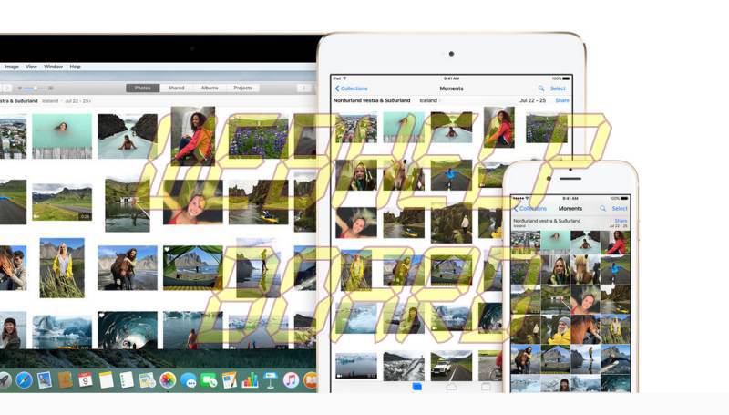 live_photos_screenshot.jpg